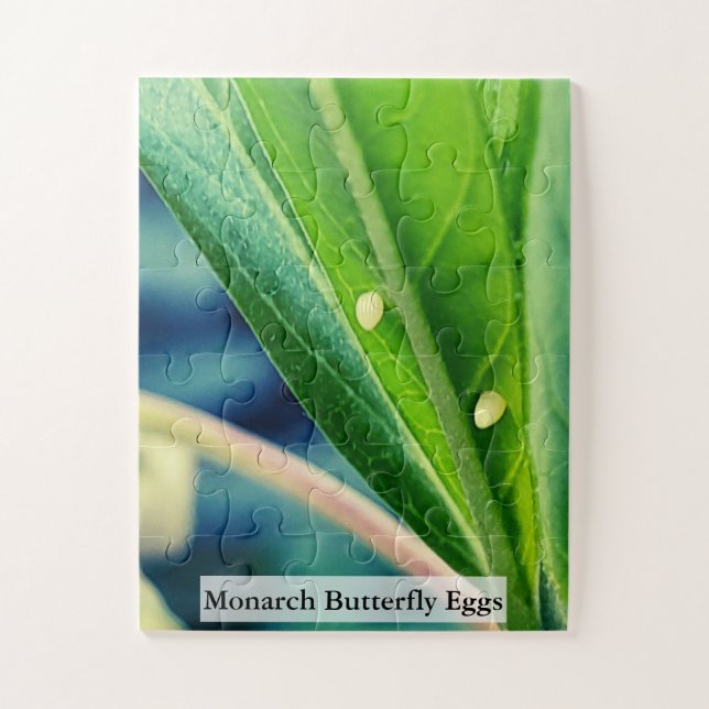 Monarch Butterfly Eggs 30Pcs Puzzle (Vertikal)