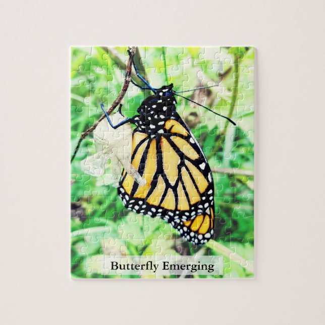 Monarch Butterfly Emerging 110Pcs Puzzle (Vertikal)