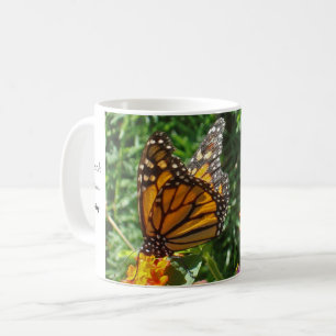Monarch Butterfly Foto Frühmorgens Motivierend Kaffeetasse