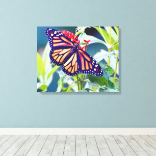 Monarch Butterfly Fotografy Wall Dekoration Leinwa Leinwanddruck