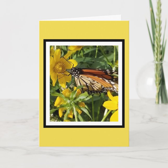 MONARCH BUTTERFLY - GEBURTSTAGSKARTE KARTE (Vorderseite)