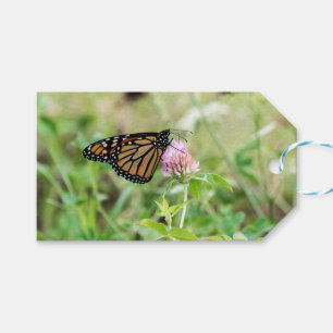 Monarch Butterfly Geschenkanhänger