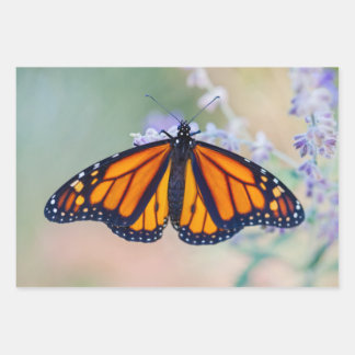 Monarch Butterfly Geschenkpapier Set