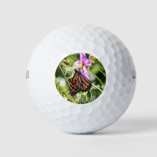 Monarch Butterfly Golfball