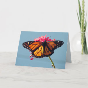 Monarch Butterfly Grußkarte Karte