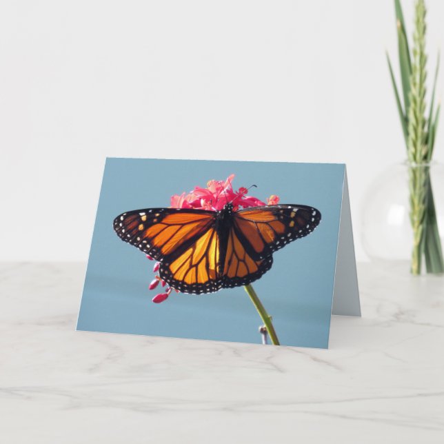 Monarch Butterfly Grußkarte Karte (Vorderseite)