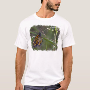 Monarch Butterfly im Gras T-Shirt