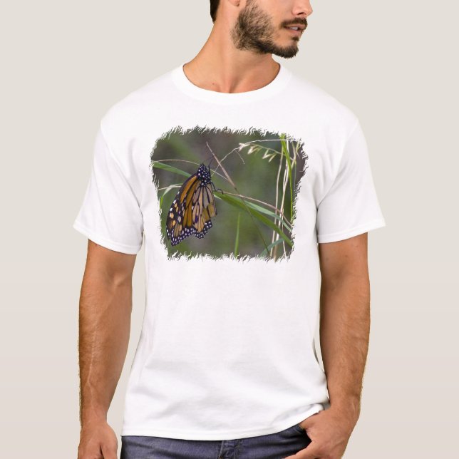 Monarch Butterfly im Gras T-Shirt (Vorderseite)