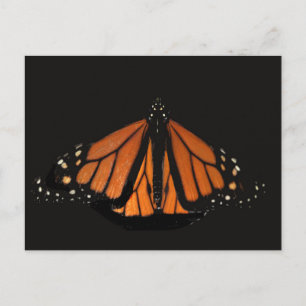 Monarch Butterfly im Schlüssel von Orange Postkarte