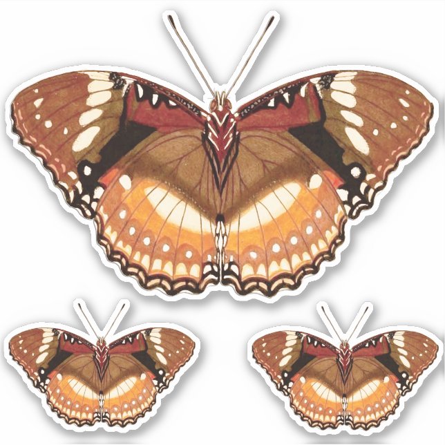 Monarch Butterfly in Brown, Rost und Creme Aufkleber (Vorderseite)