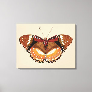 Monarch Butterfly in Brown, Rost und Creme Leinwanddruck
