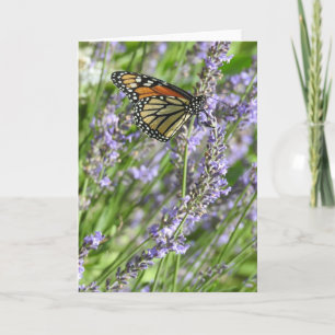 Monarch Butterfly in einem Lavendel gegossen Karte
