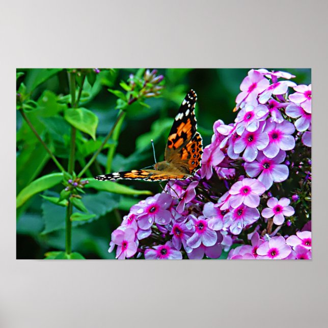 Monarch Butterfly in Flowers Poster (Vorne)