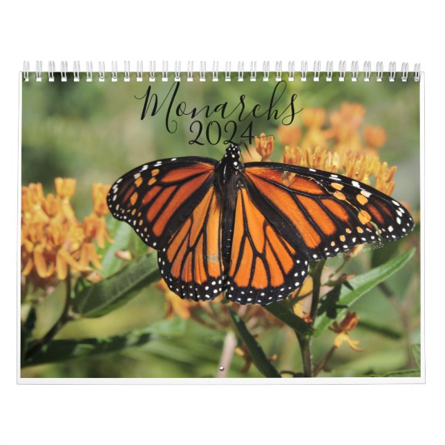 Monarch Butterfly Kalender (Titelbild)