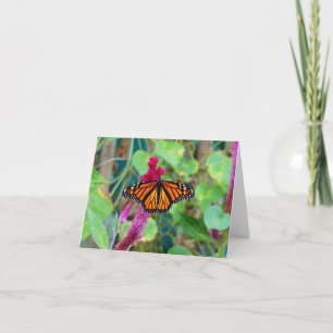 Monarch Butterfly Karte