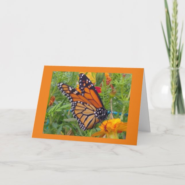 Monarch Butterfly Karte (Vorderseite)