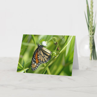 Monarch Butterfly - Karte