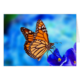 Monarch Butterfly-Karte