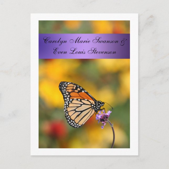 Monarch Butterfly-Karte Postkarte (Vorderseite)