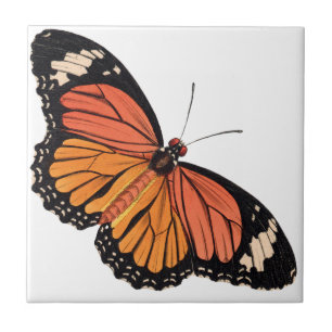 Monarch Butterfly Keramik Tile Fliese