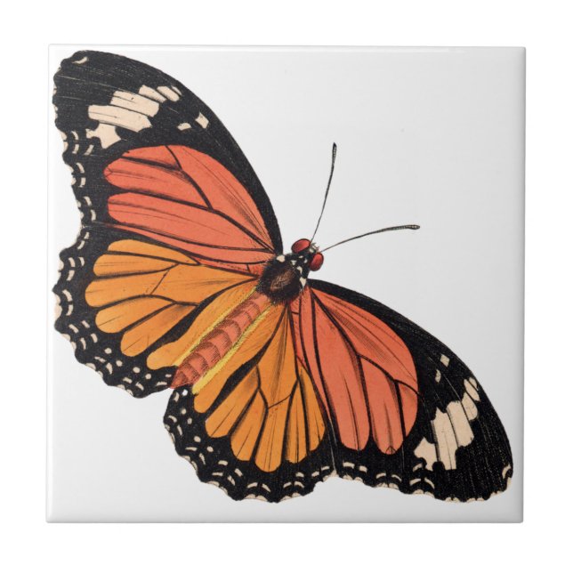 Monarch Butterfly Keramik Tile Fliese (Vorderseite)