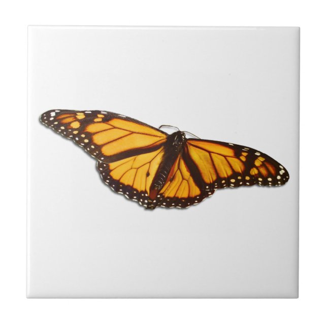 Monarch Butterfly Keramik Tile Fliese (Vorderseite)