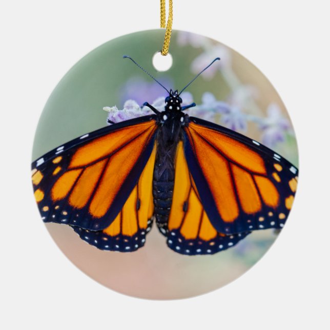 Monarch Butterfly Keramikornament (Vorne)