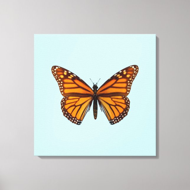 Monarch Butterfly Leinwanddruck (Vorderseite)