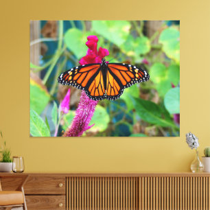 Monarch Butterfly Leinwanddruck