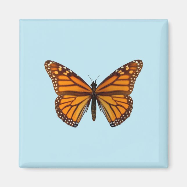 Monarch Butterfly Magnet (Vorne)