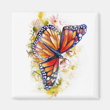 Monarch Butterfly