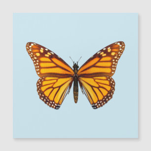 Monarch Butterfly Magnetkarte