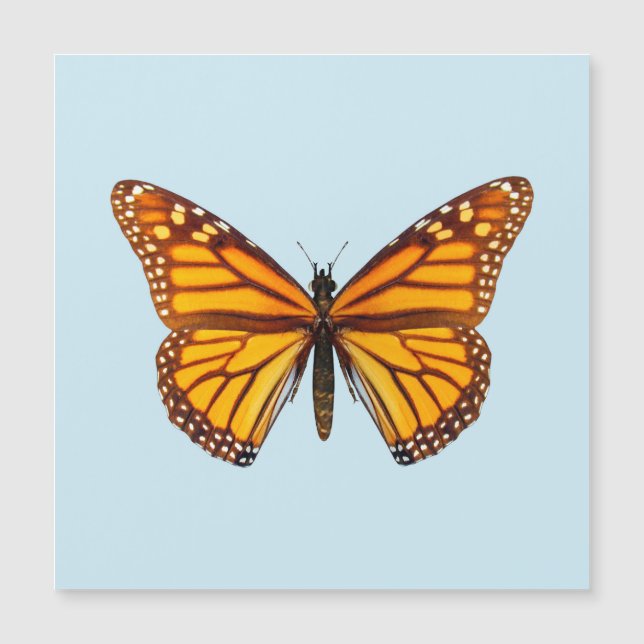 Monarch Butterfly Magnetkarte (Vorderseite)
