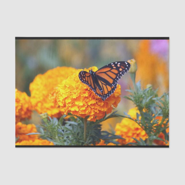 Monarch Butterfly Marigold Foto Seidenpapier (Vorderseite)
