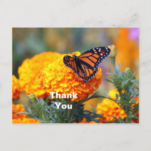 Monarch Butterfly Marigold Foto Vielen Dank Postkarte