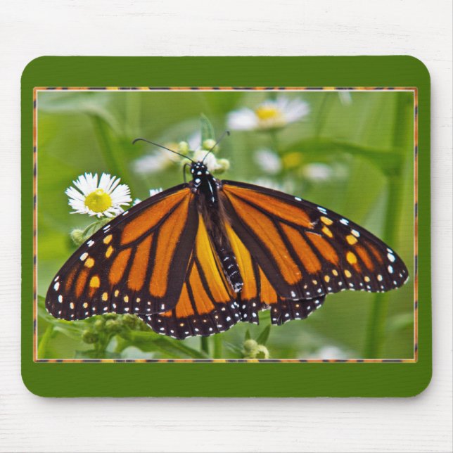 Monarch Butterfly Mousepad (Vorne)