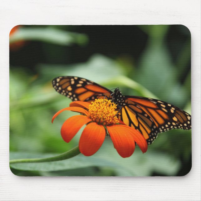Monarch Butterfly Mousepad (Vorne)