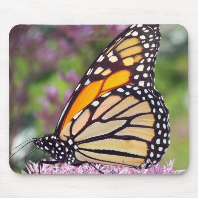 Monarch Butterfly Mousepad (Vorne)