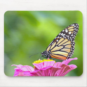 Monarch Butterfly Mousepad