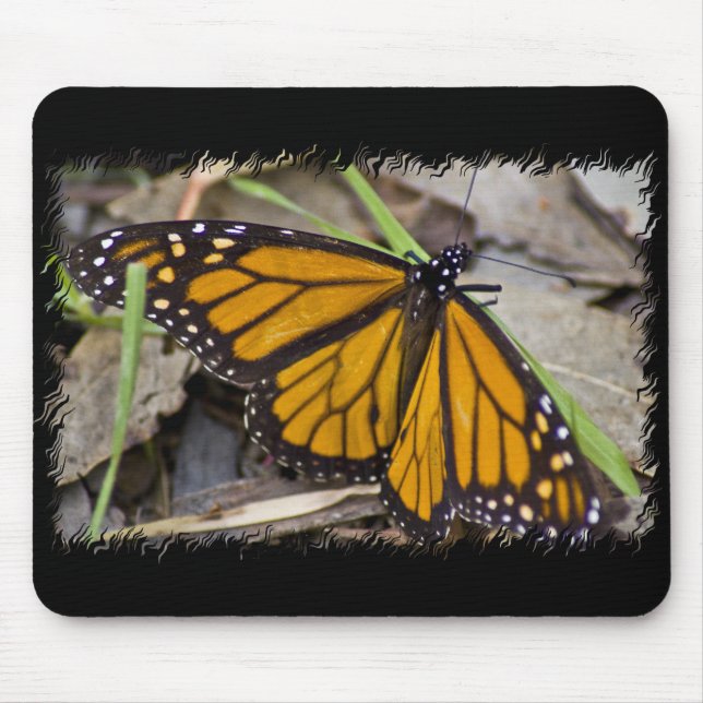 Monarch Butterfly Mousepad (Vorne)