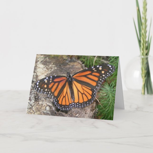 Monarch Butterfly-Note Karte (Vorderseite)