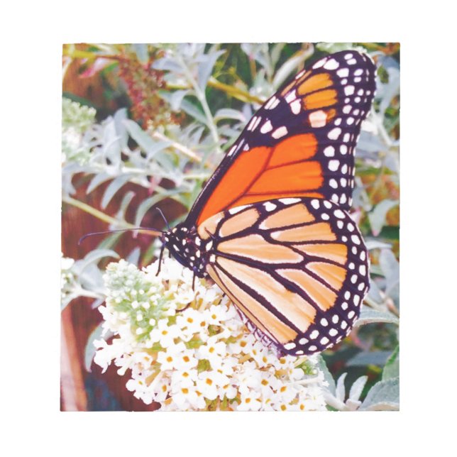 Monarch Butterfly Notizblock (Vorderseite)