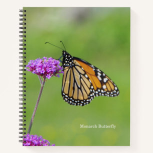 Monarch Butterfly-Notizbuch Notizbuch