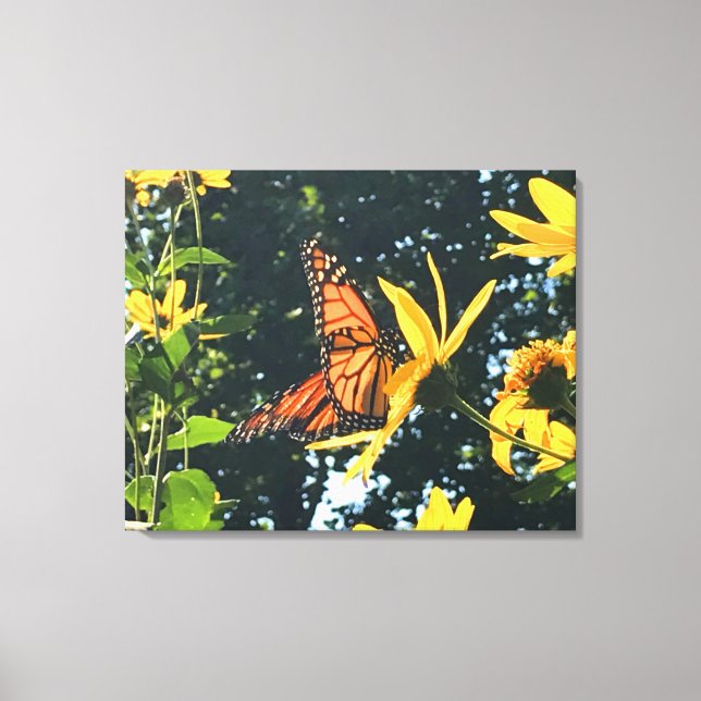 Monarch Butterfly on Flower Photograph  Leinwanddruck (Vorderseite)