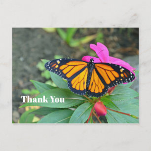 Monarch Butterfly Pink Floral Foto Vielen Dank Postkarte