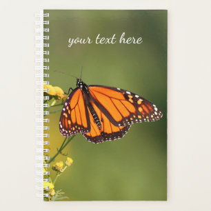 Monarch Butterfly Planer