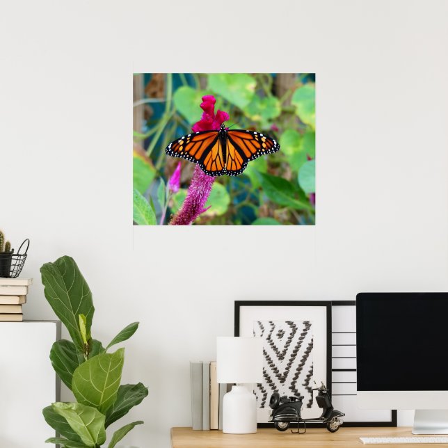 Monarch Butterfly Poster (Heimbüro)