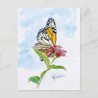 Monarch Butterfly Postkarte