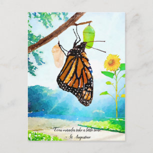 Monarch Butterfly Postkarte