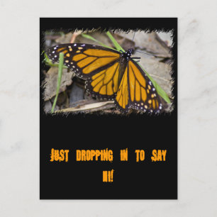 Monarch Butterfly Postkarte
